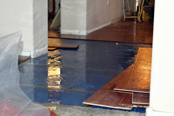 Professional Basement Flood Cleanup technician working in Richwood, NJ